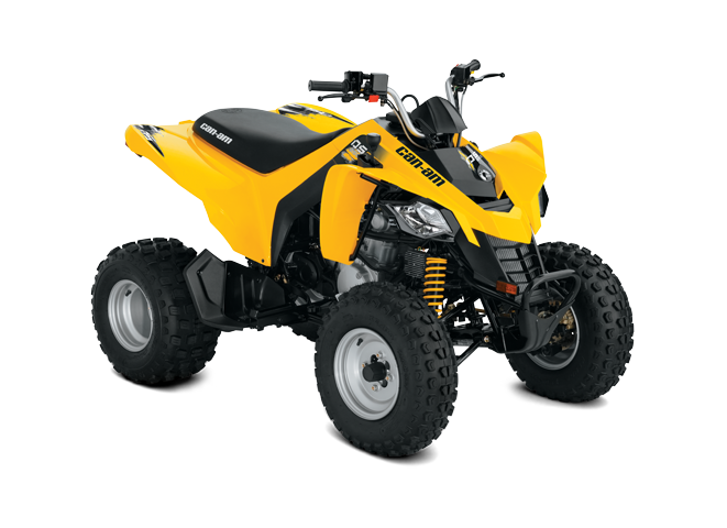 BRP Can-Am DS 250 (2017 м.г.)