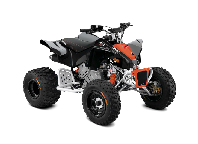BRP Can-Am DS 90 X (2017 м.г.)