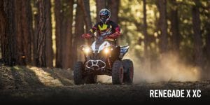 BRP Can-Am Renegade 570 (2018 м.г.)