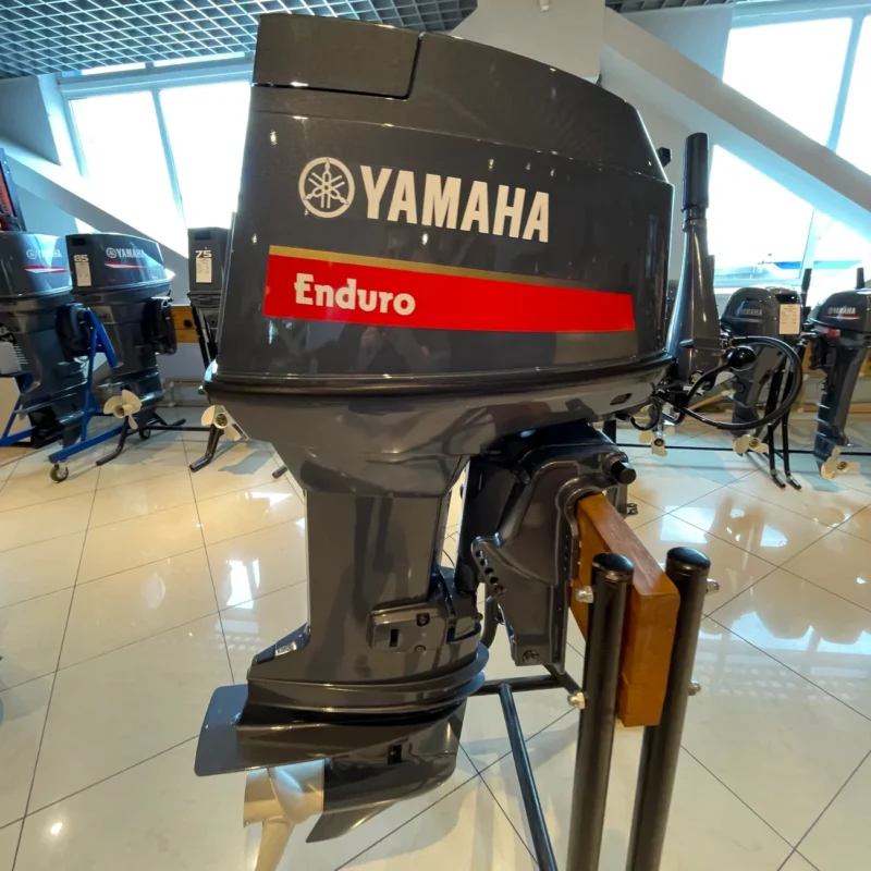Yamaha E60HMHDL